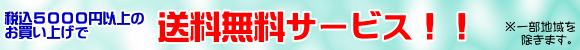 �ō�5000�~�ȏ�ő�������